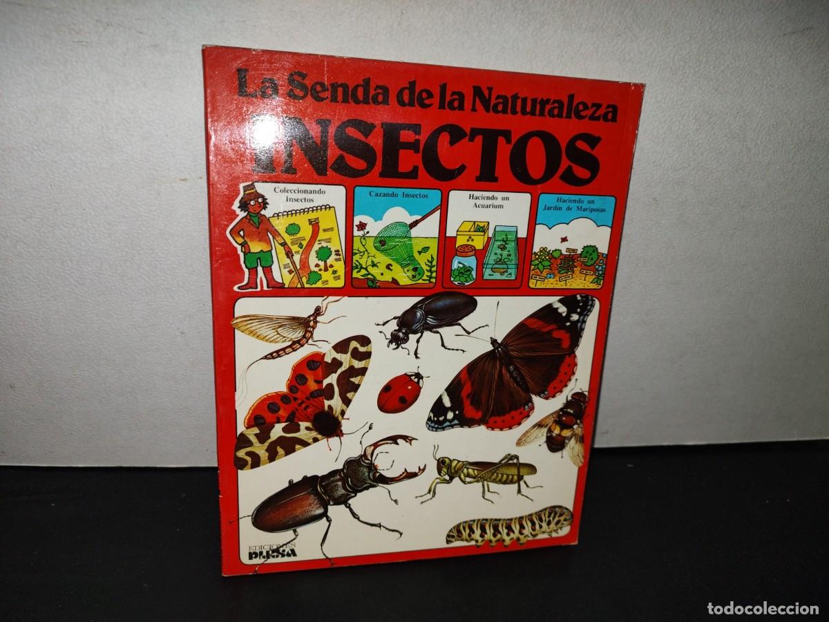 Libros de segunda mano: 159- LA SENDA DE LA NATURALEZA. INSECTOS - RUTH THOMSON - PLESA 1981 - Foto 1