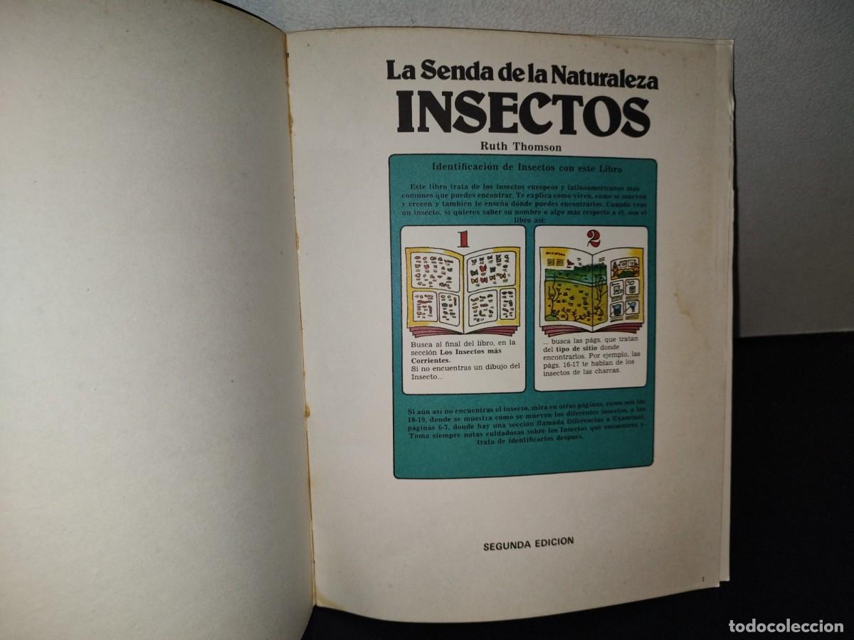 Libros de segunda mano: 159- LA SENDA DE LA NATURALEZA. INSECTOS - RUTH THOMSON - PLESA 1981 - Foto 3