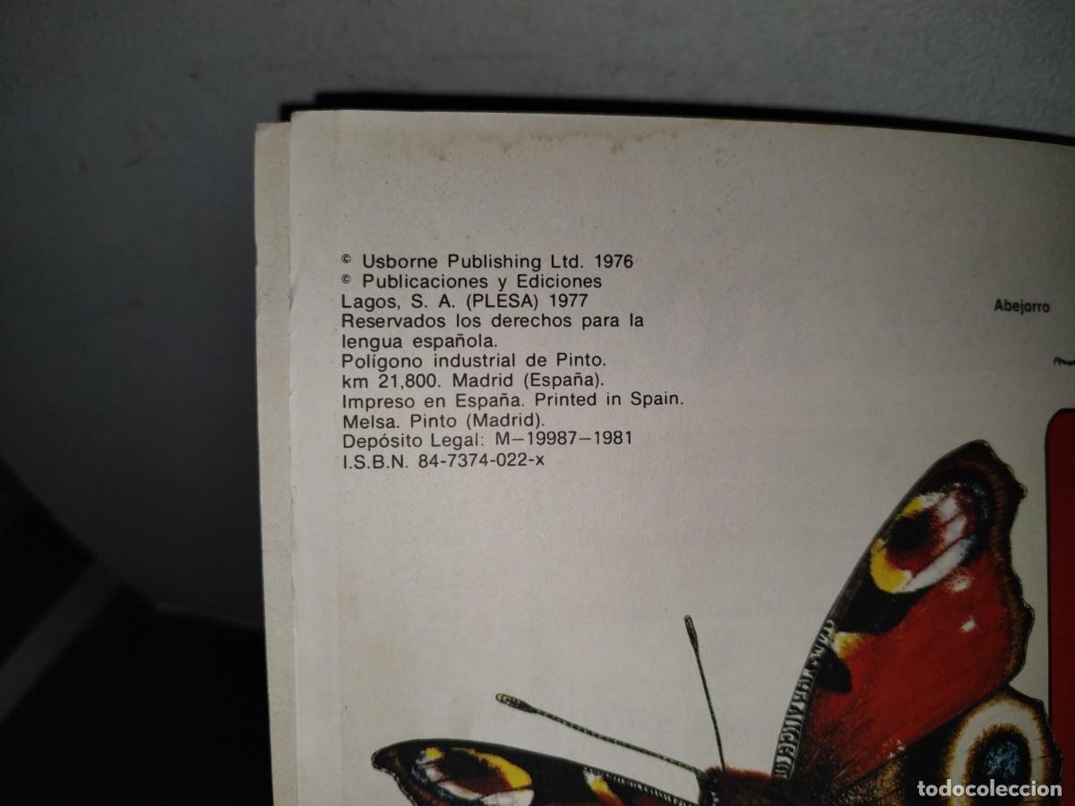 Libros de segunda mano: 159- LA SENDA DE LA NATURALEZA. INSECTOS - RUTH THOMSON - PLESA 1981 - Foto 4