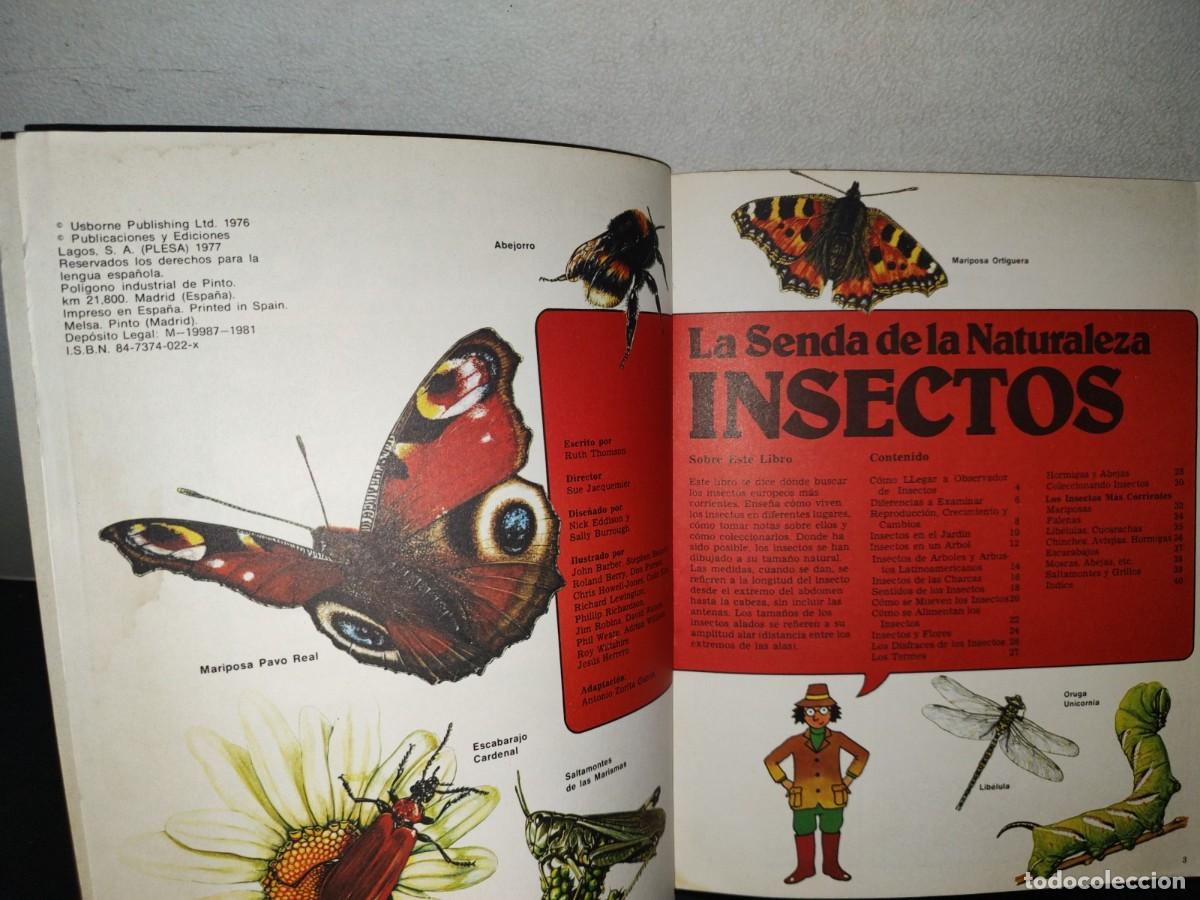Libros de segunda mano: 159- LA SENDA DE LA NATURALEZA. INSECTOS - RUTH THOMSON - PLESA 1981 - Foto 5