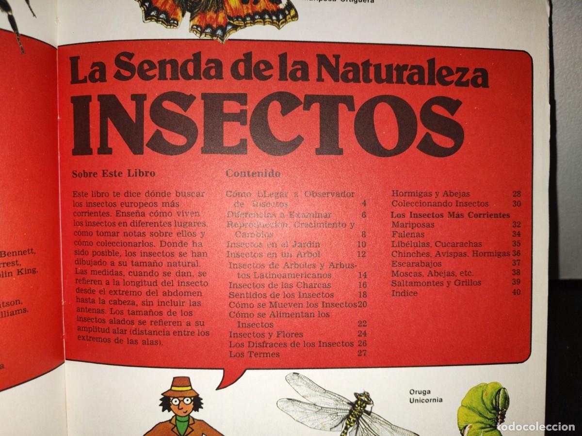 Libros de segunda mano: 159- LA SENDA DE LA NATURALEZA. INSECTOS - RUTH THOMSON - PLESA 1981 - Foto 6