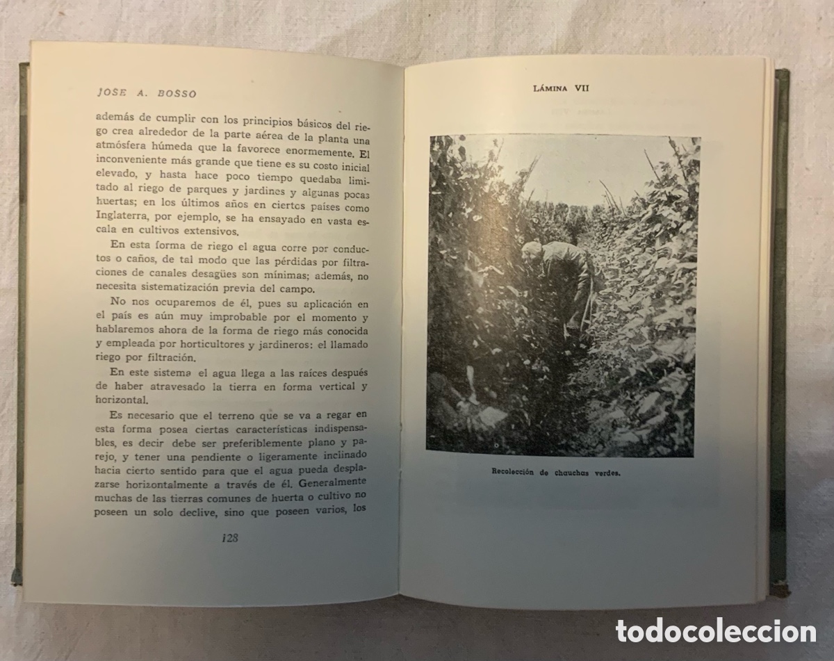 Libros de segunda mano: La chaucha y el poroto. Jose A. Bosso - Foto 5
