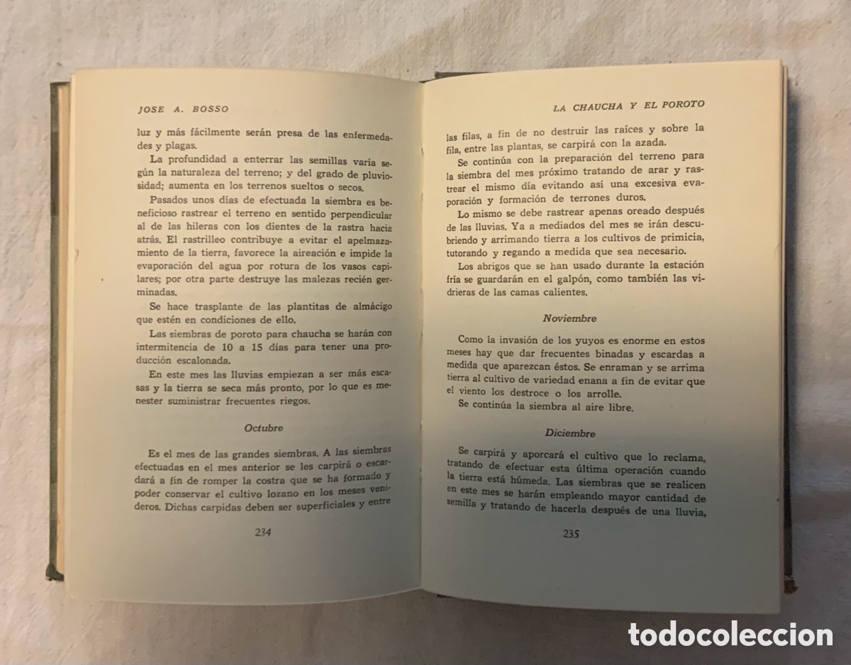 Libros de segunda mano: La chaucha y el poroto. Jose A. Bosso - Foto 6