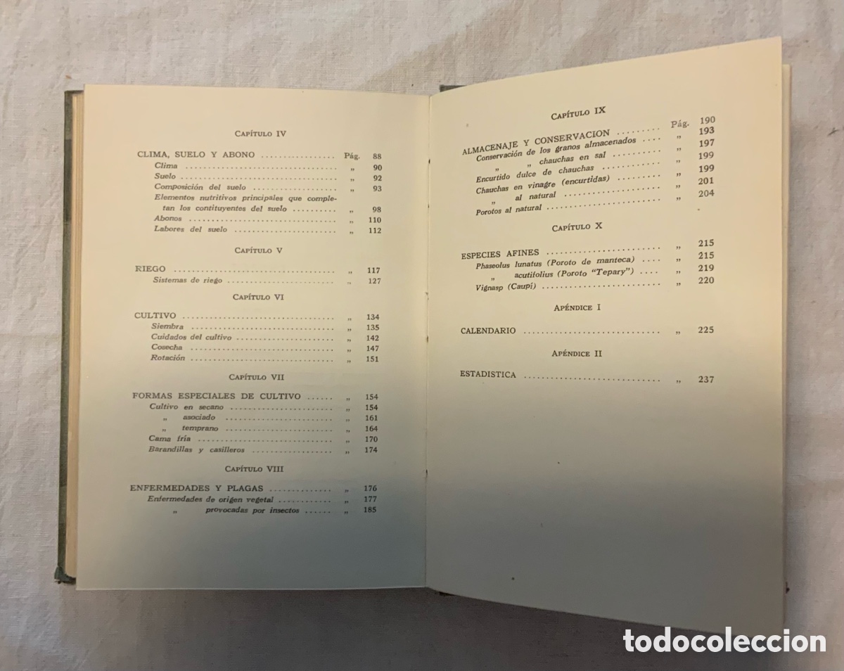 Libros de segunda mano: La chaucha y el poroto. Jose A. Bosso - Foto 7