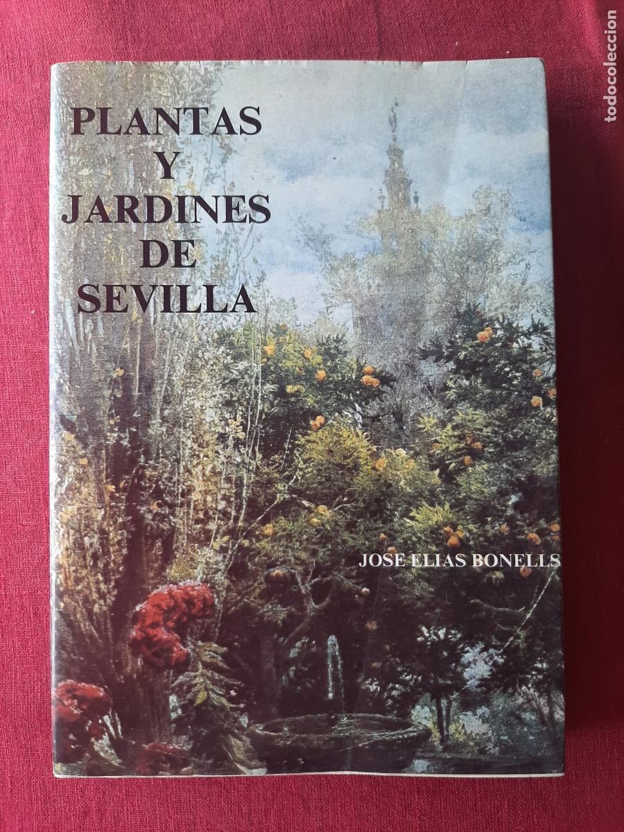 Gebrauchte B&uuml;cher: Plantas y jardines de Sevilla - El&iacute;as Bonells, Jos&eacute;