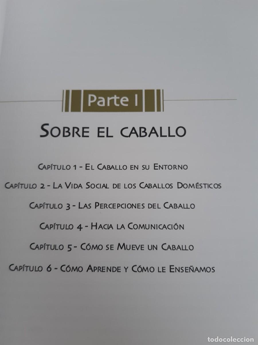 Libros de segunda mano: L&Oacute;GICA DEL CABALLO, LA - Rees, Lucy equitaci&oacute;n - Foto 4