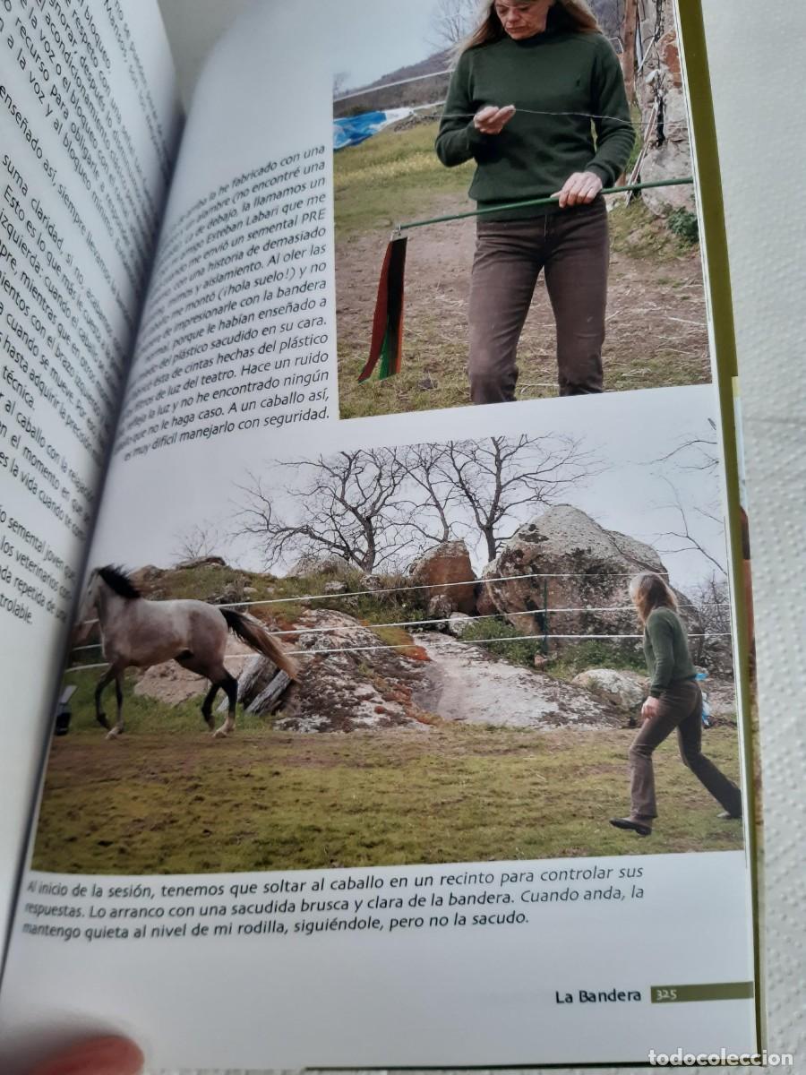 Libros de segunda mano: L&Oacute;GICA DEL CABALLO, LA - Rees, Lucy equitaci&oacute;n - Foto 5