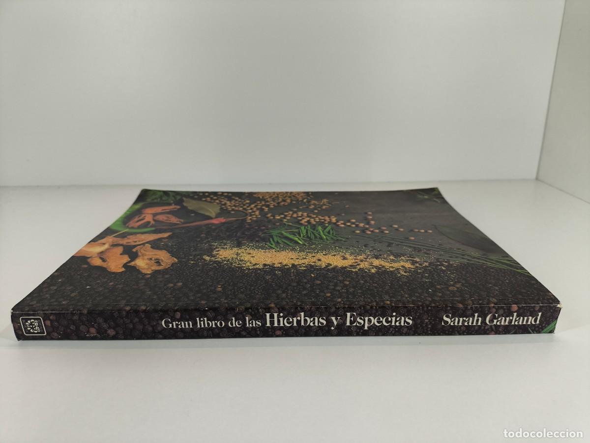 Libros de segunda mano: GRAN LIBRO DE LAS HIERBAS Y ESPECIAS / SARAH GARLAND / 1989. BLUME - Foto 5