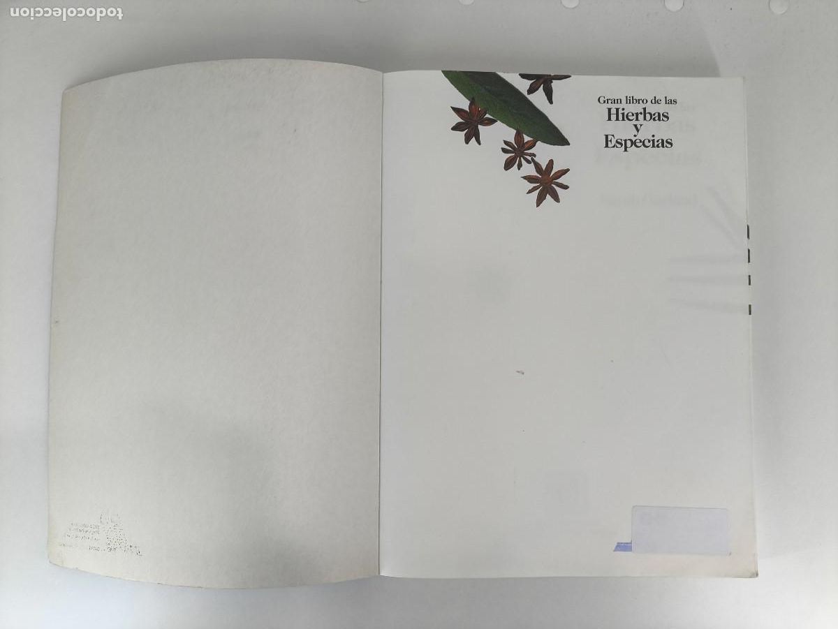 Libros de segunda mano: GRAN LIBRO DE LAS HIERBAS Y ESPECIAS / SARAH GARLAND / 1989. BLUME - Foto 2