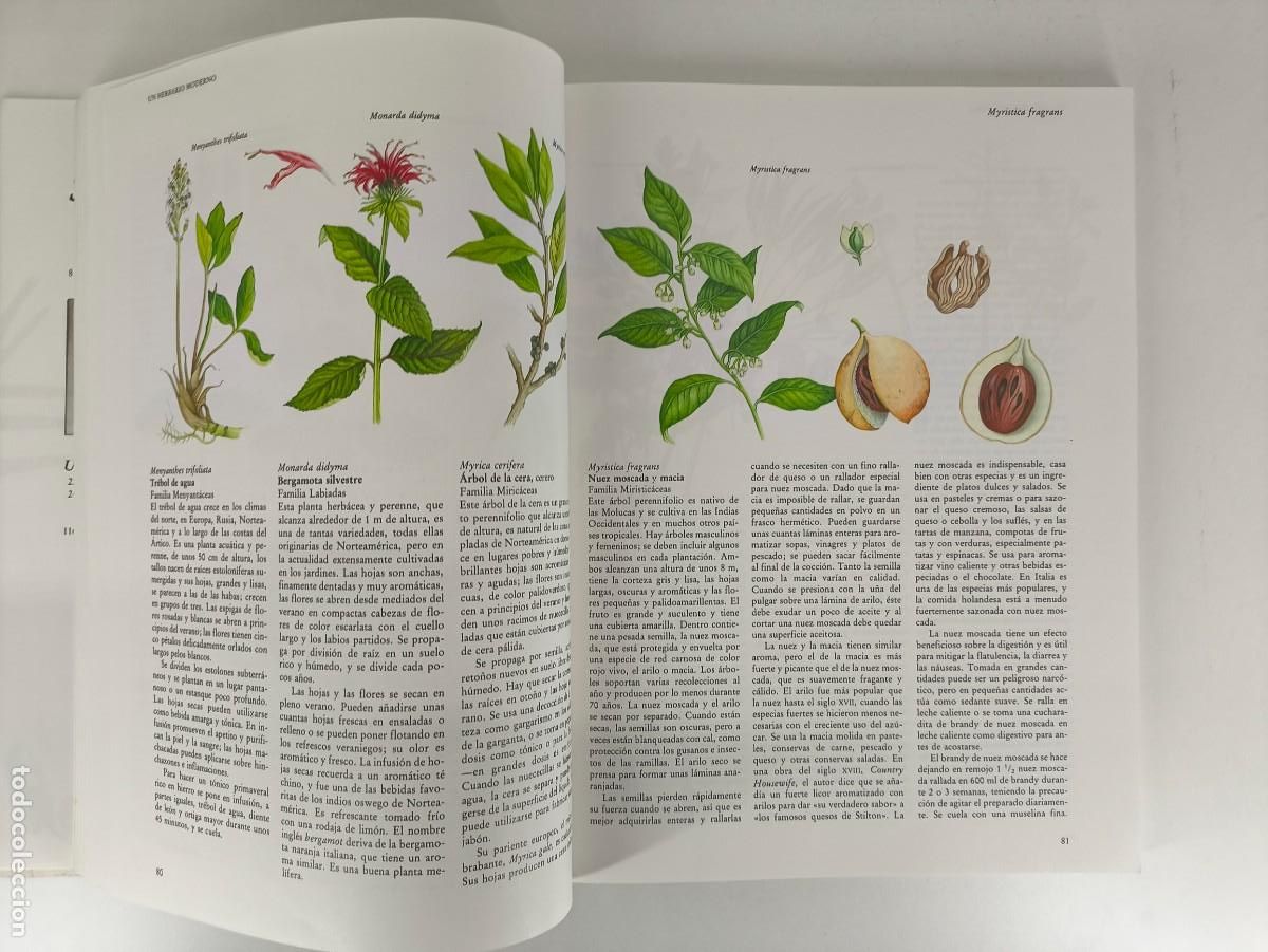 Libros de segunda mano: GRAN LIBRO DE LAS HIERBAS Y ESPECIAS / SARAH GARLAND / 1989. BLUME - Foto 4