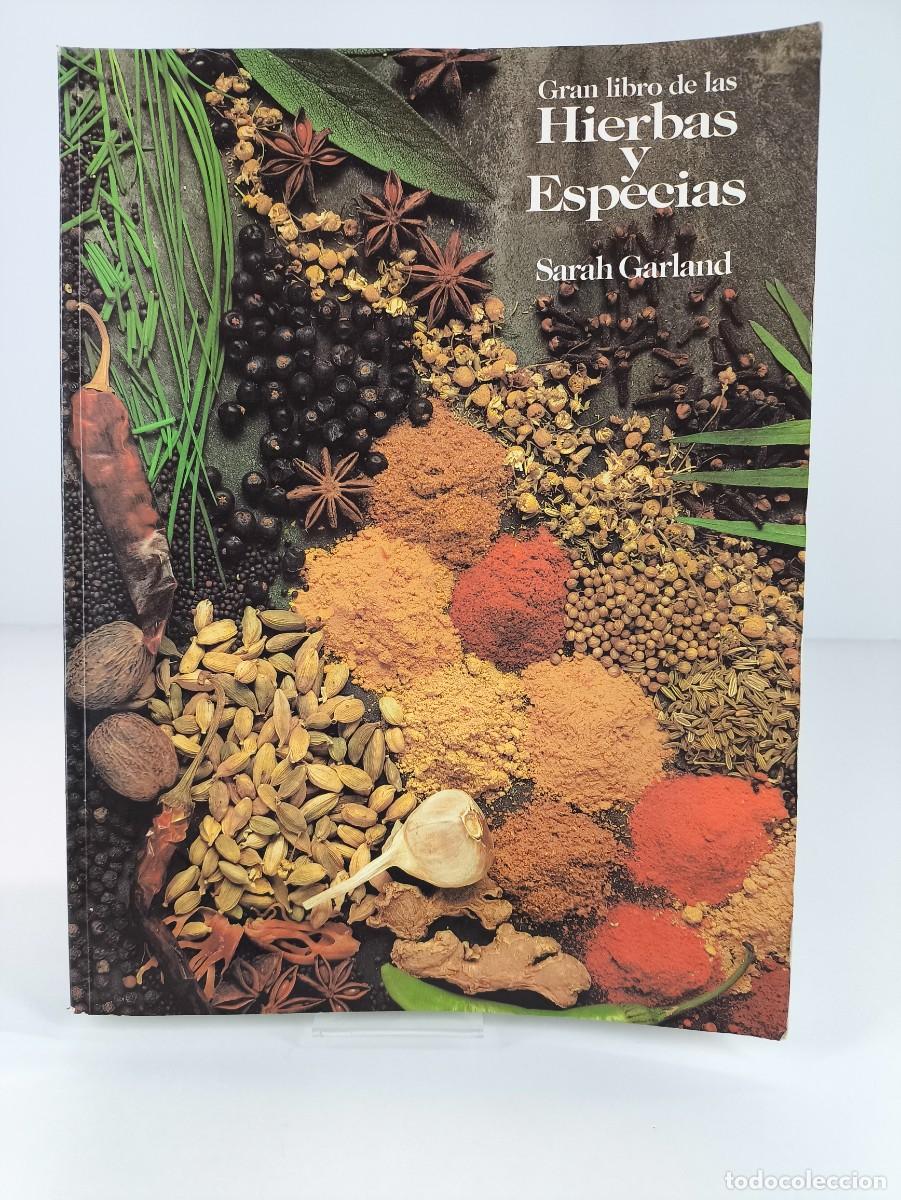 Libros de segunda mano: GRAN LIBRO DE LAS HIERBAS Y ESPECIAS / SARAH GARLAND / 1989. BLUME - Foto 1