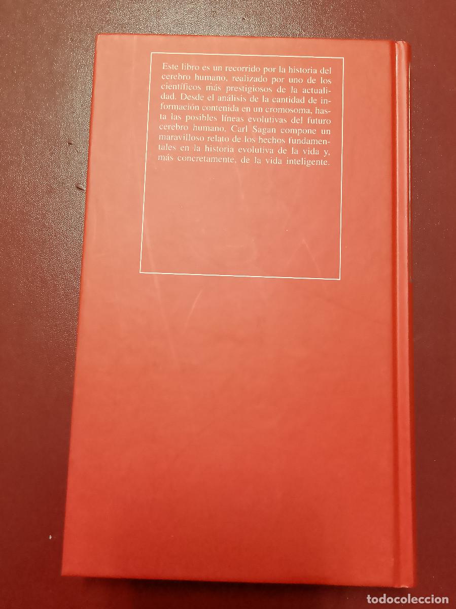 Libros de segunda mano: Carl Sagan: Los dragones del Ed&eacute;n (RBA. 1993) - Foto 2