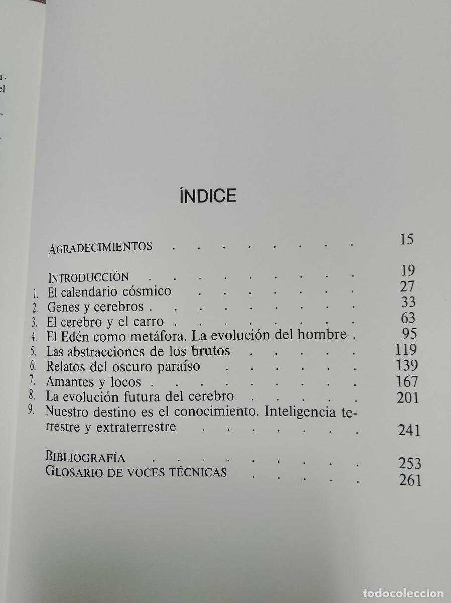 Libros de segunda mano: Carl Sagan: Los dragones del Ed&eacute;n (RBA. 1993) - Foto 3