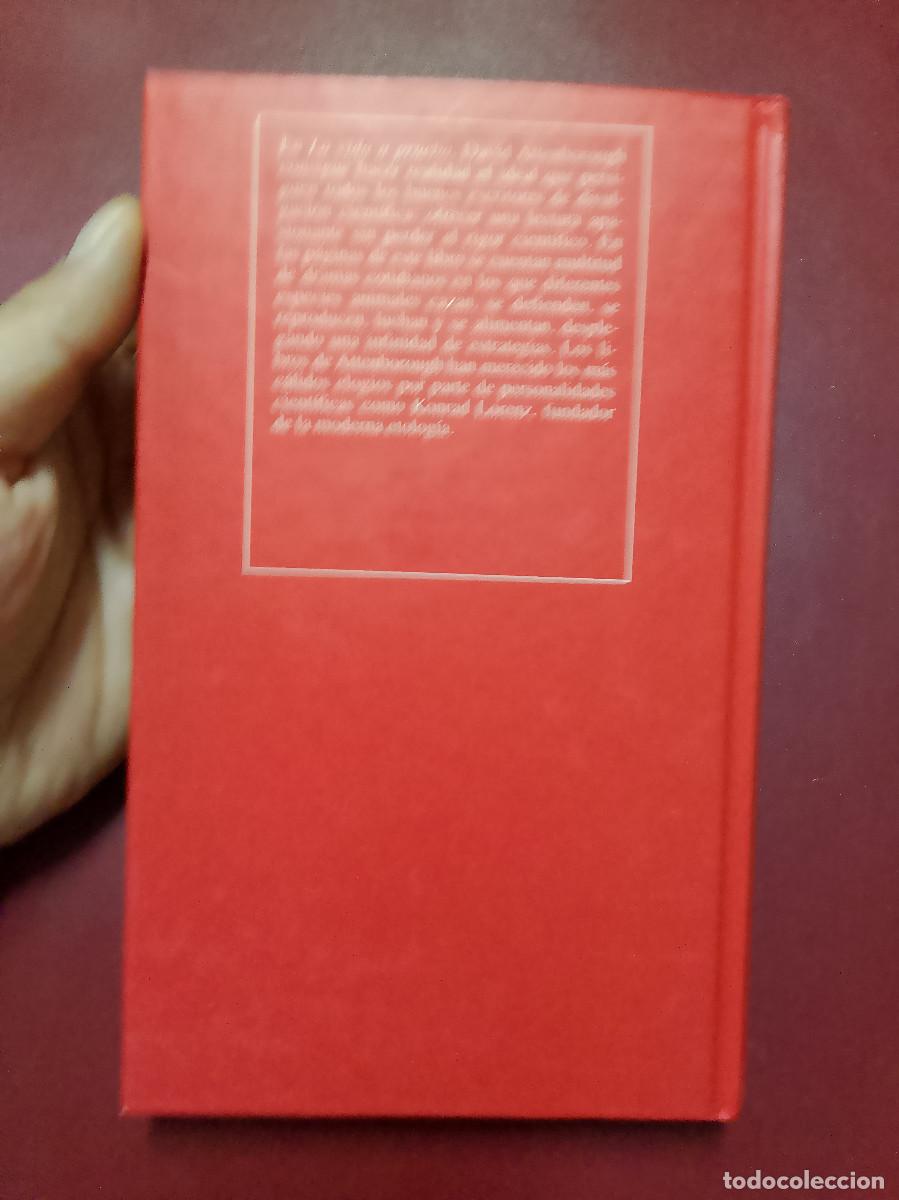Libros de segunda mano: David Attenborough: La vida a prueba (RBA. 1993) - Foto 2