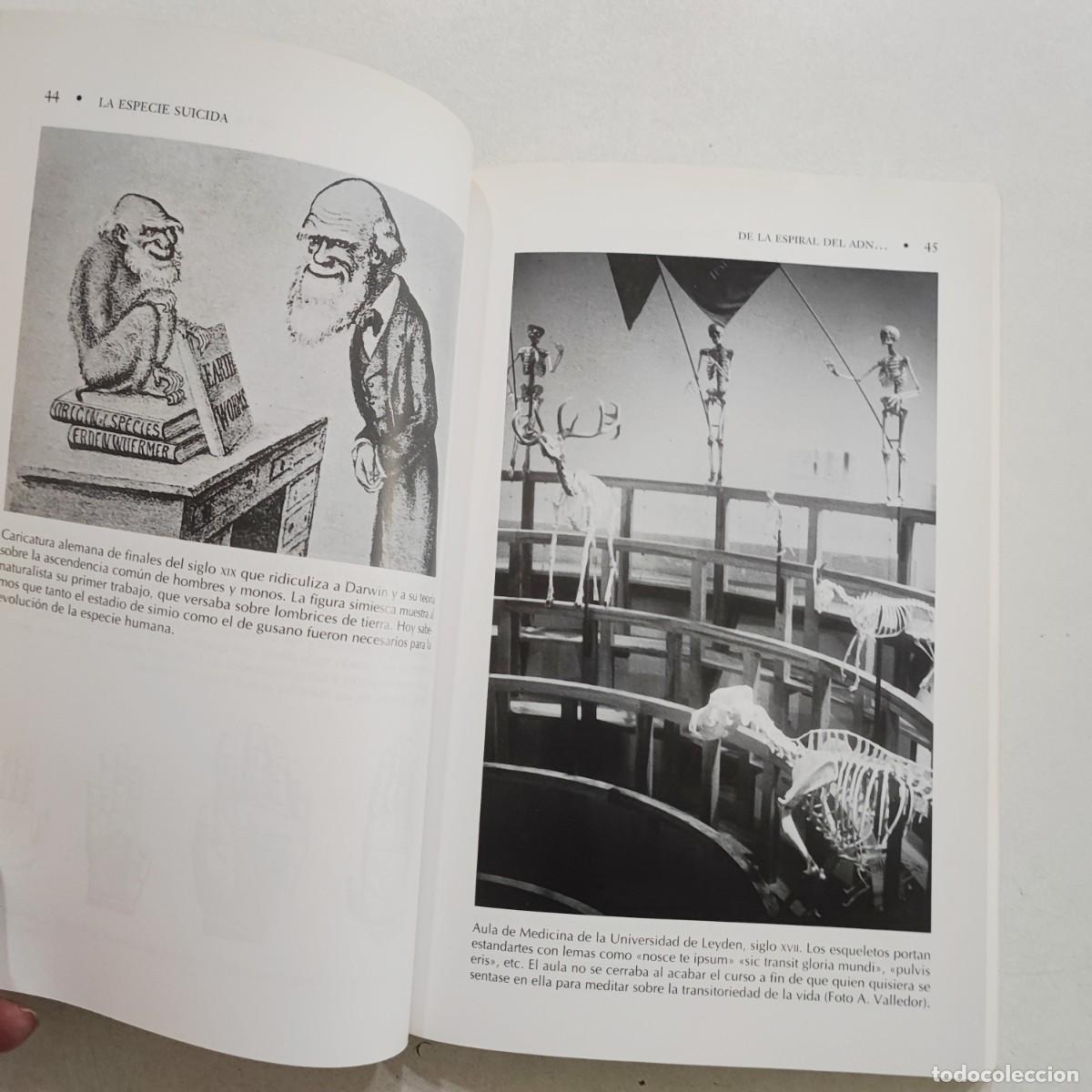 Libros de segunda mano: LA ESPECIE SUICIDA de Arturo Valledor de Lozoya - Foto 6