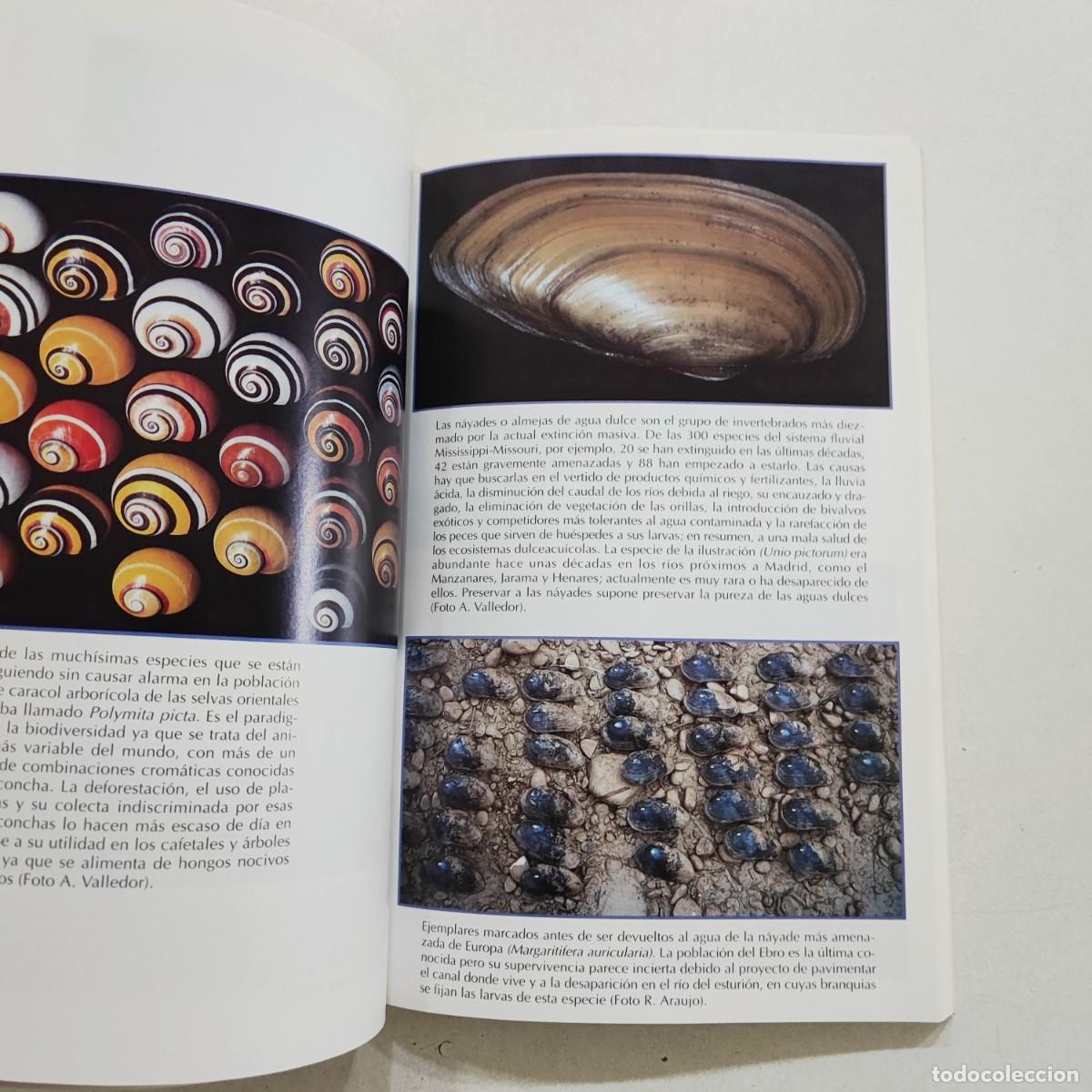 Libros de segunda mano: LA ESPECIE SUICIDA de Arturo Valledor de Lozoya - Foto 7