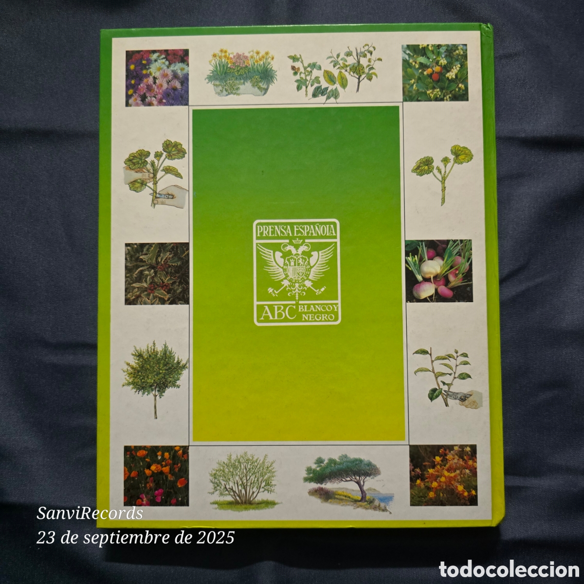 Libros de segunda mano: EL LIBRO DE ORO DE LAS PLANTAS Y LOS JARDINES (ABC) - Foto 2