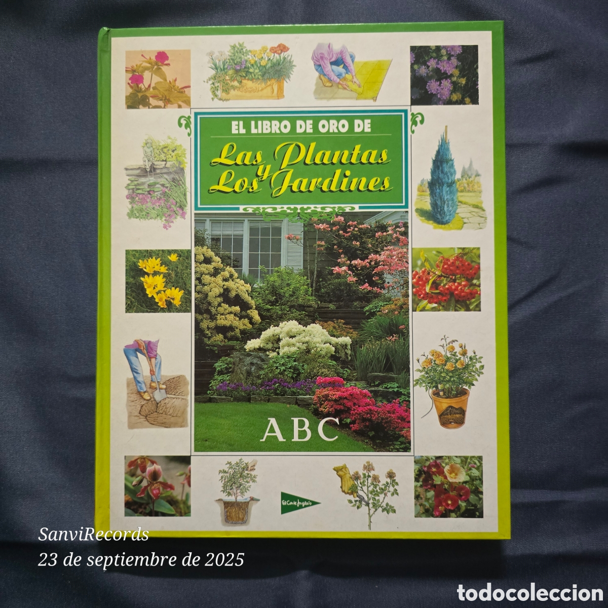 Libros de segunda mano: EL LIBRO DE ORO DE LAS PLANTAS Y LOS JARDINES (ABC) - Foto 1