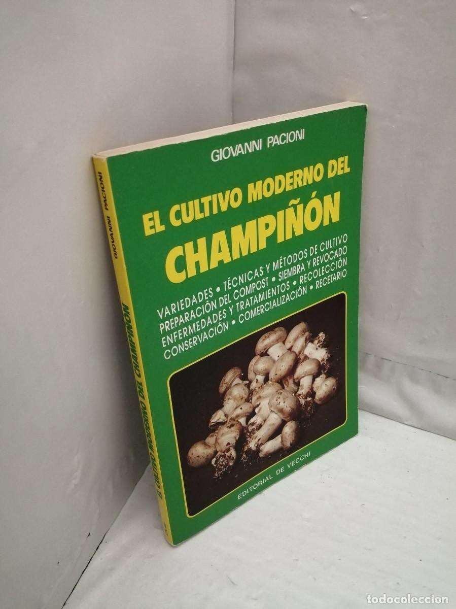 Libros de segunda mano: Cultivo Moderno del Champi&ntilde;&oacute;n - Foto 3
