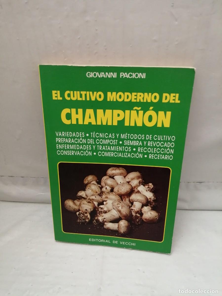 Libros de segunda mano: Cultivo Moderno del Champi&ntilde;&oacute;n - Foto 1