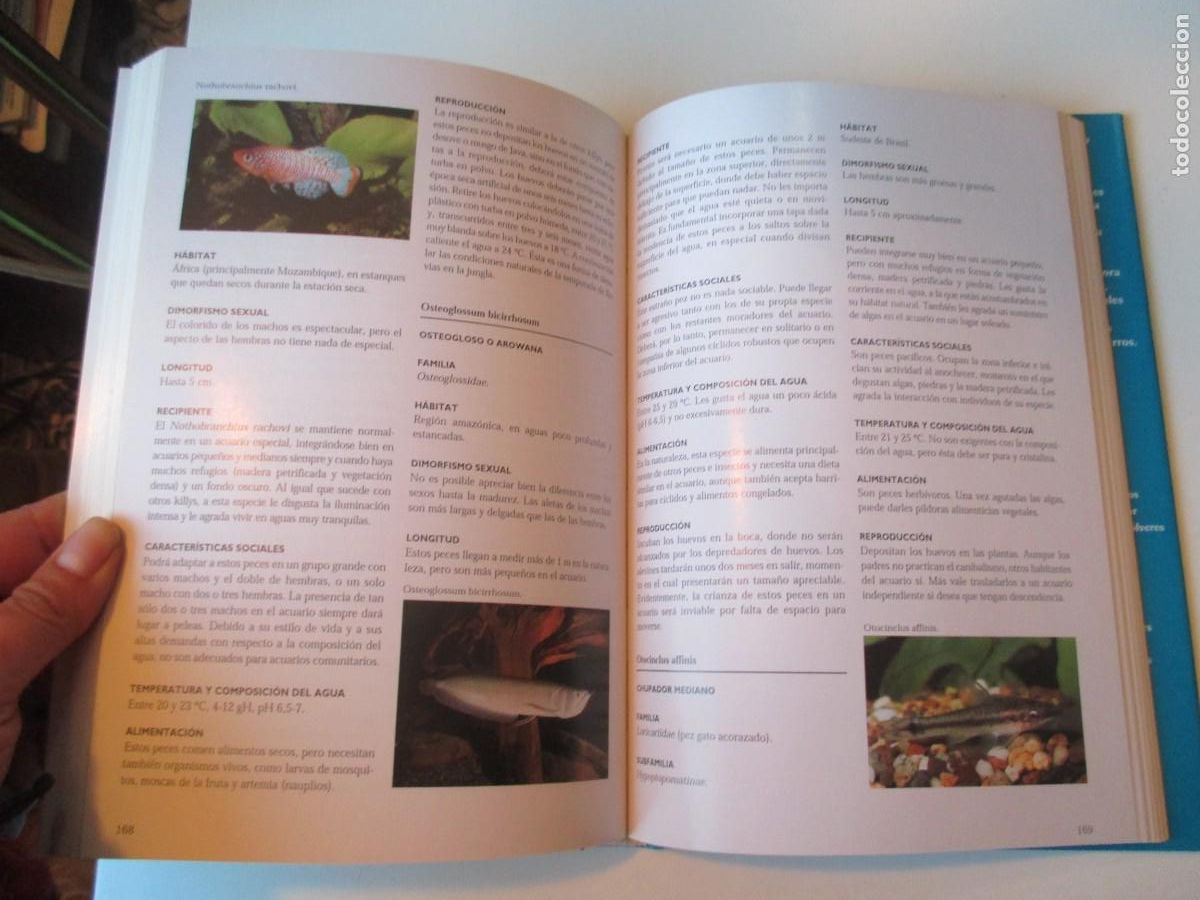 Libros de segunda mano: La enciclopedia de los peces tropicales W36357 - Foto 3