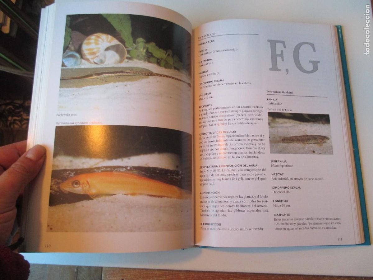 Libros de segunda mano: La enciclopedia de los peces tropicales W36357 - Foto 4