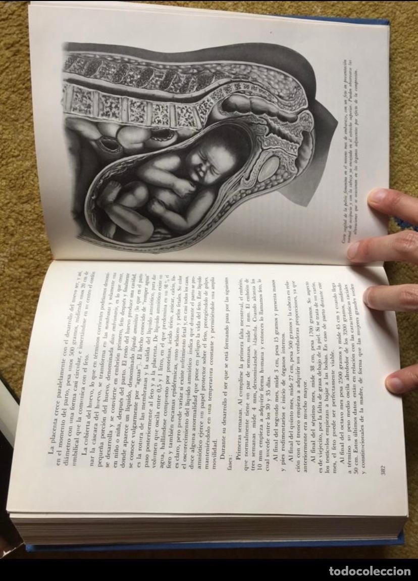 Libros de segunda mano: EL LIBRO DE LA VIDA SEXUAL 1968 - Foto 4