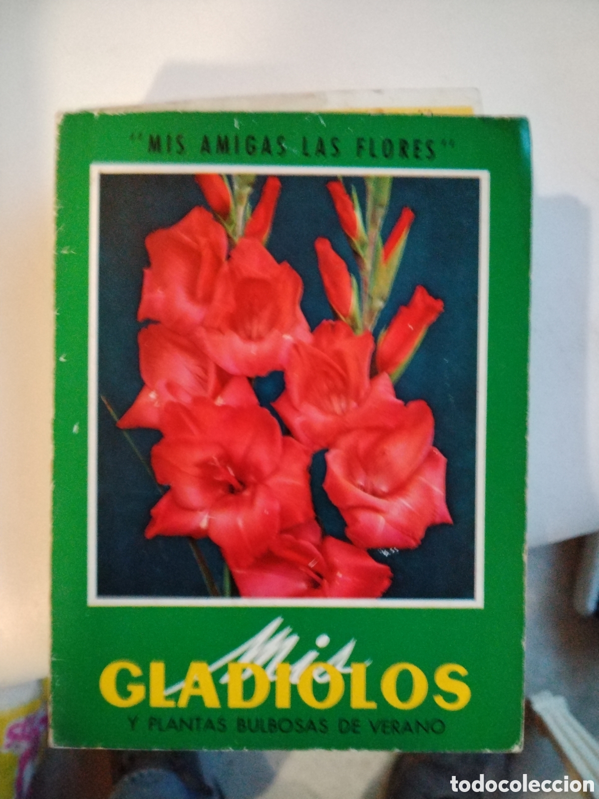 Libros de segunda mano: MIS GLADIOLOS Y PLANTAS BULBOSAS DE VERANO - MIS AMIGAS LAS FLORE - Foto 1