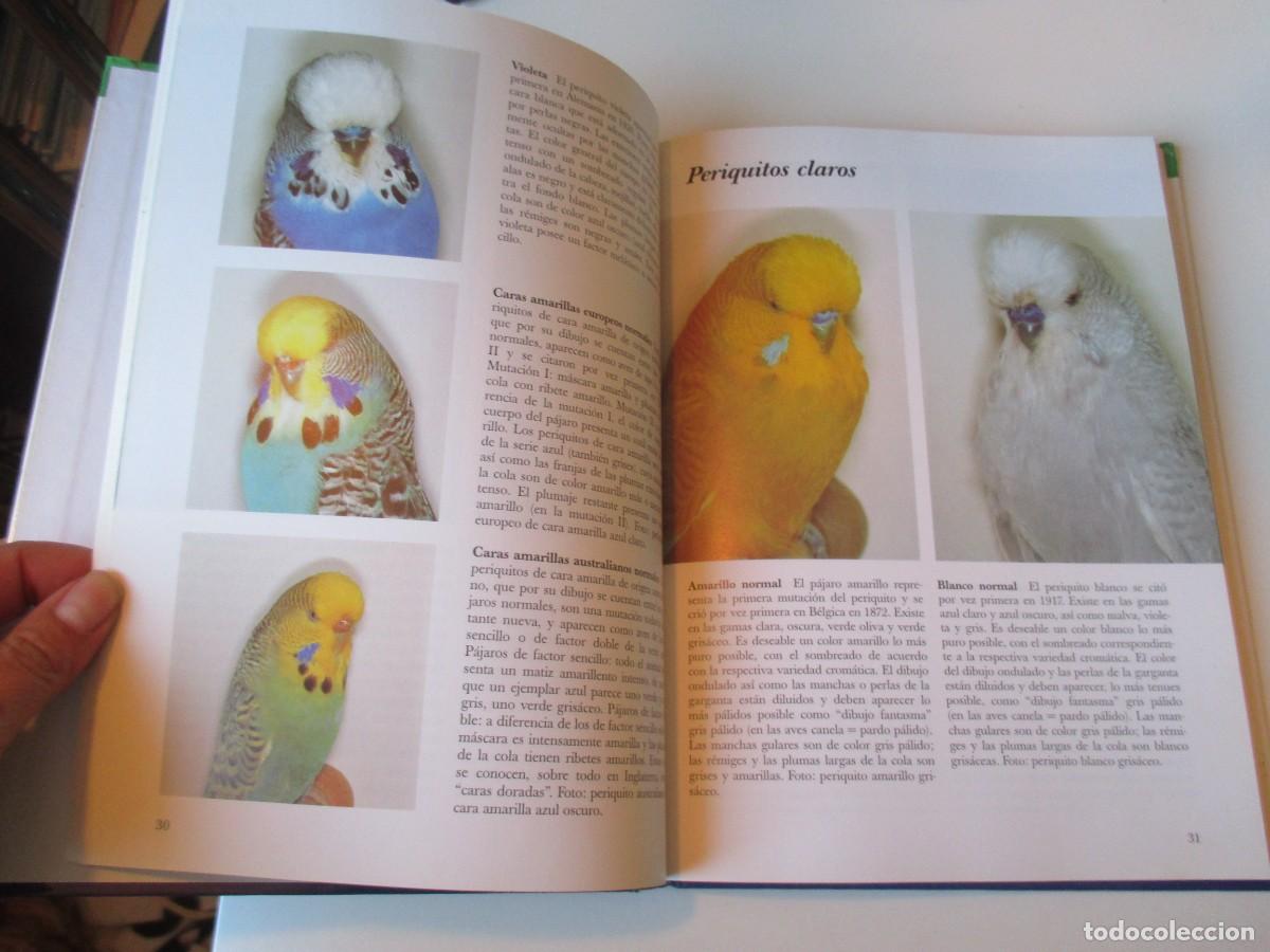 Libros de segunda mano: THEO VINS Periquitos W36406 - Foto 2