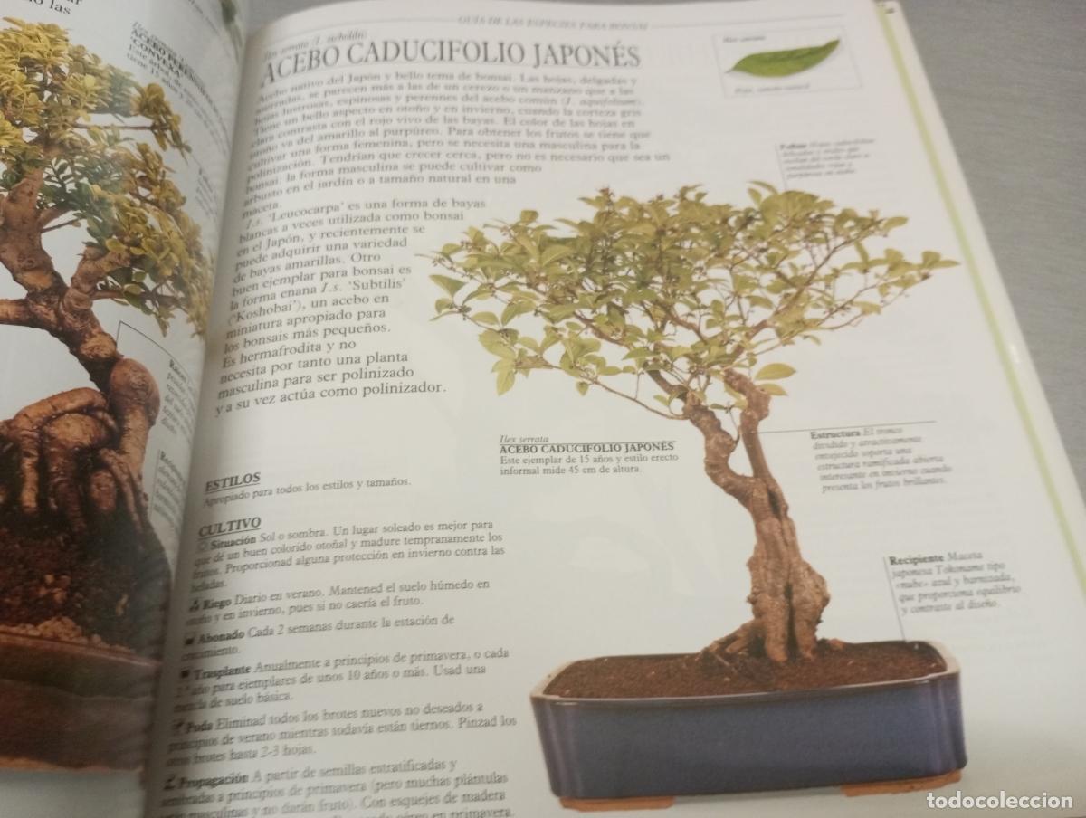 Libros de segunda mano: TRATADO PR&Aacute;CTICO DE BONSAI / HARRY TOMLINSON / ED. OMEGA 2003 - Foto 2