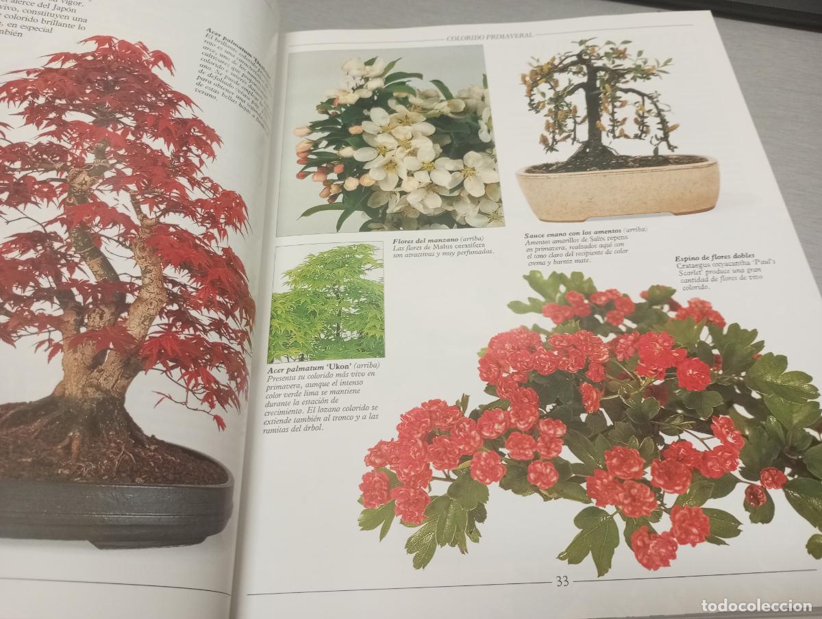 Libros de segunda mano: TRATADO PR&Aacute;CTICO DE BONSAI / HARRY TOMLINSON / ED. OMEGA 2003 - Foto 3