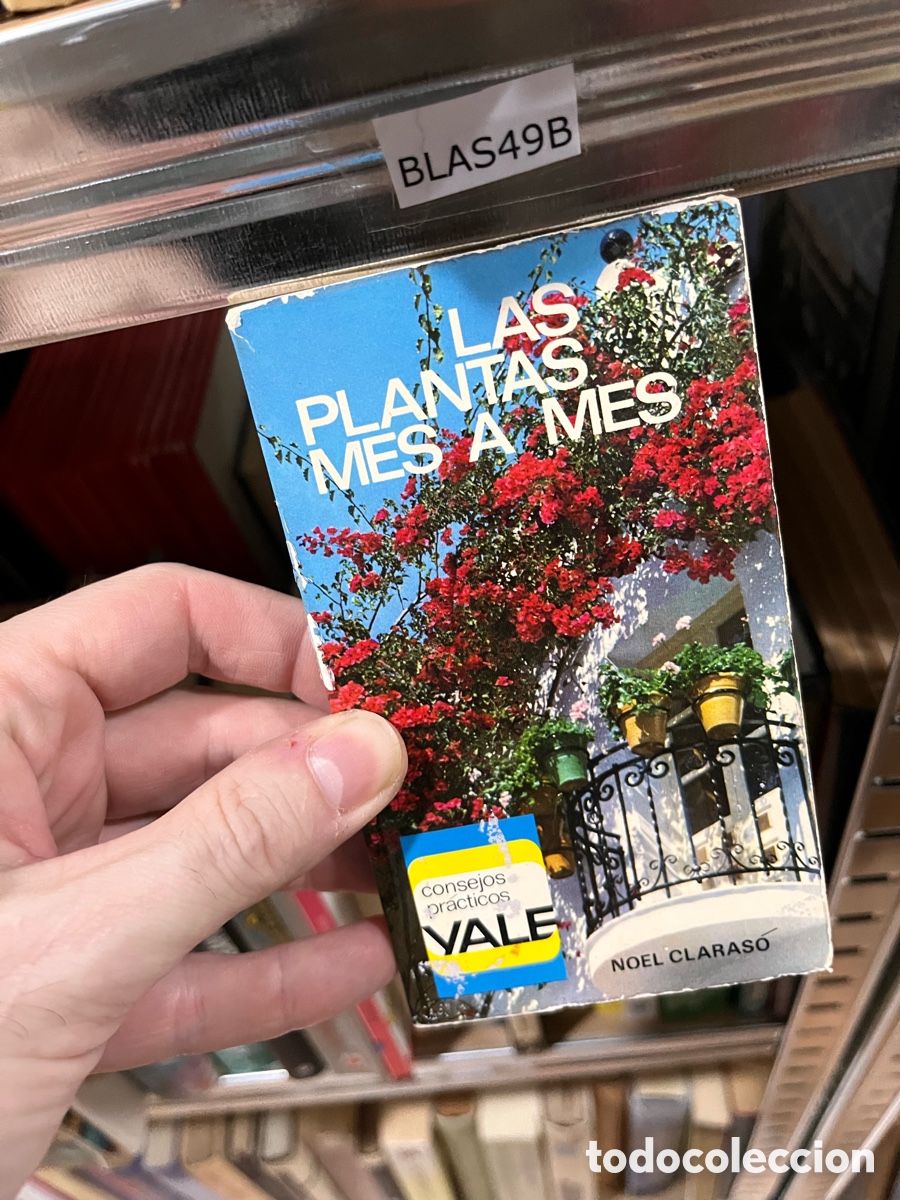 Libros de segunda mano: Blas49B las plantas mes a mes - Foto 1