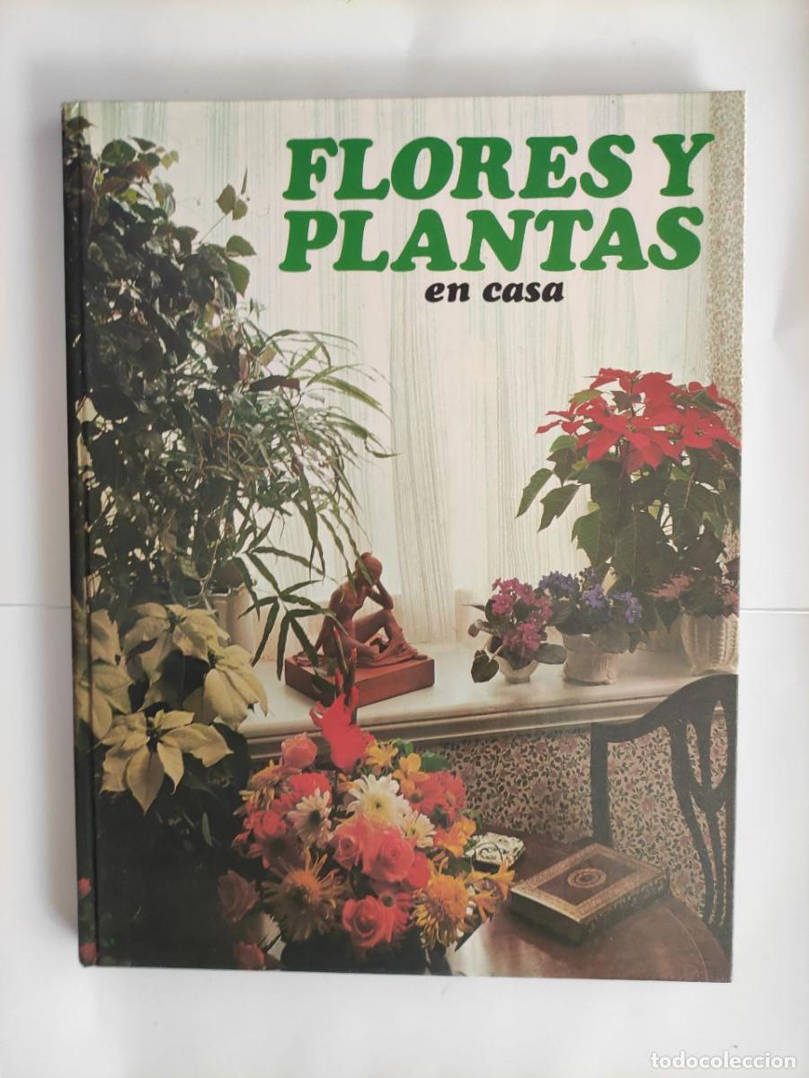 Libros de segunda mano: Flores y plantas en casa. - Violet Stevenson - Foto 1