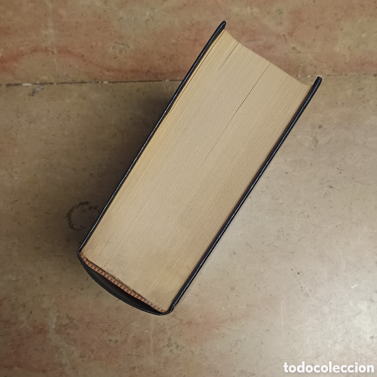 Libros de segunda mano de ciencias: OBRA CIENT&Iacute;FICA del profesor Dr. Jos&eacute; Pascual Vila (1895-1979) - Foto 2