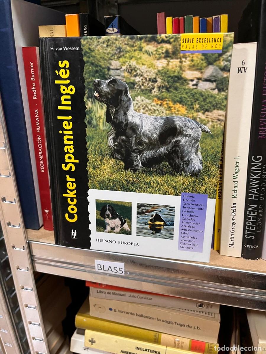 Libros de segunda mano: BLAS5 COCKER SPANIEL INGLES, H VAN WESSEN, LIBRO DE RAZAS DE PERROS - Foto 1