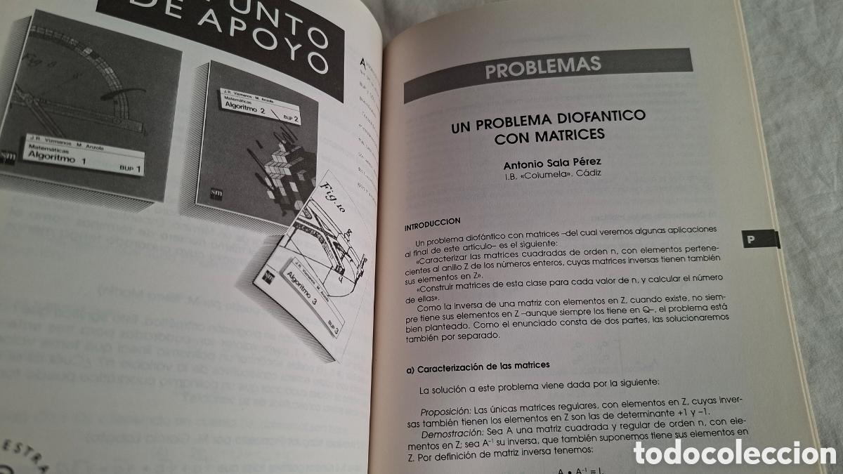 Libros de segunda mano de ciencias: EPSILON N&ordm; 35. ICME 1996. Thales - Foto 6
