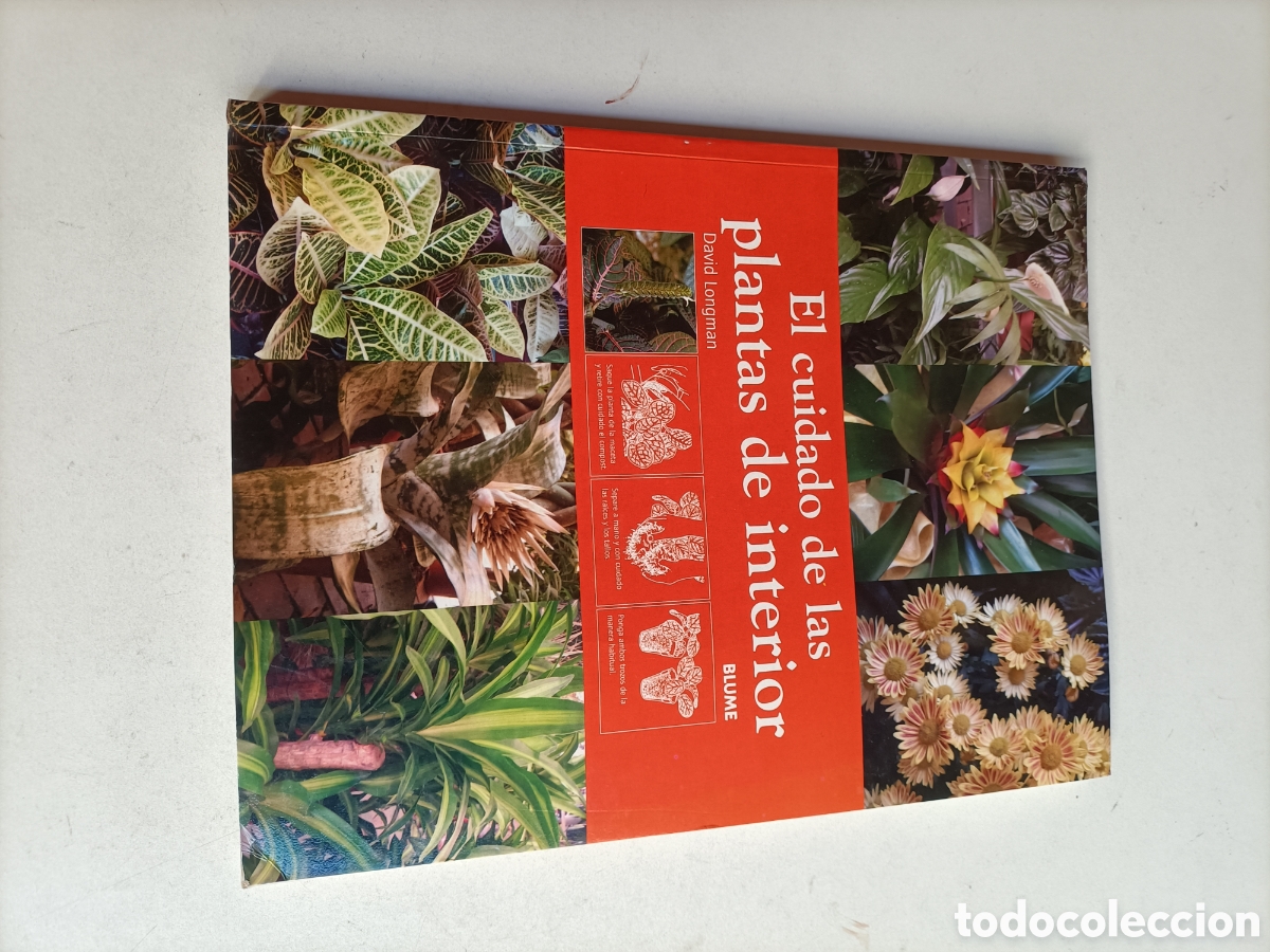 Libros de segunda mano: El cuidado de las plantas de interior David Longman - Foto 2