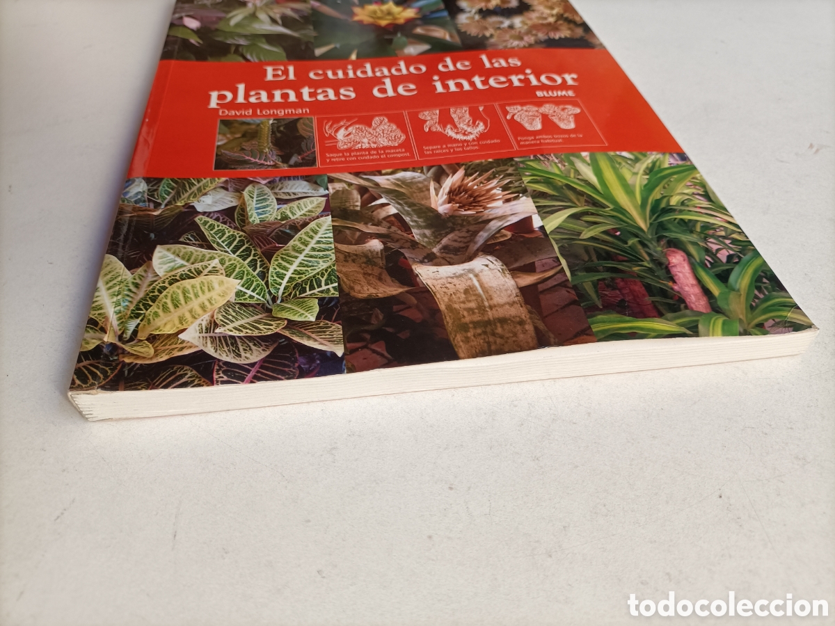 Libros de segunda mano: El cuidado de las plantas de interior David Longman - Foto 3