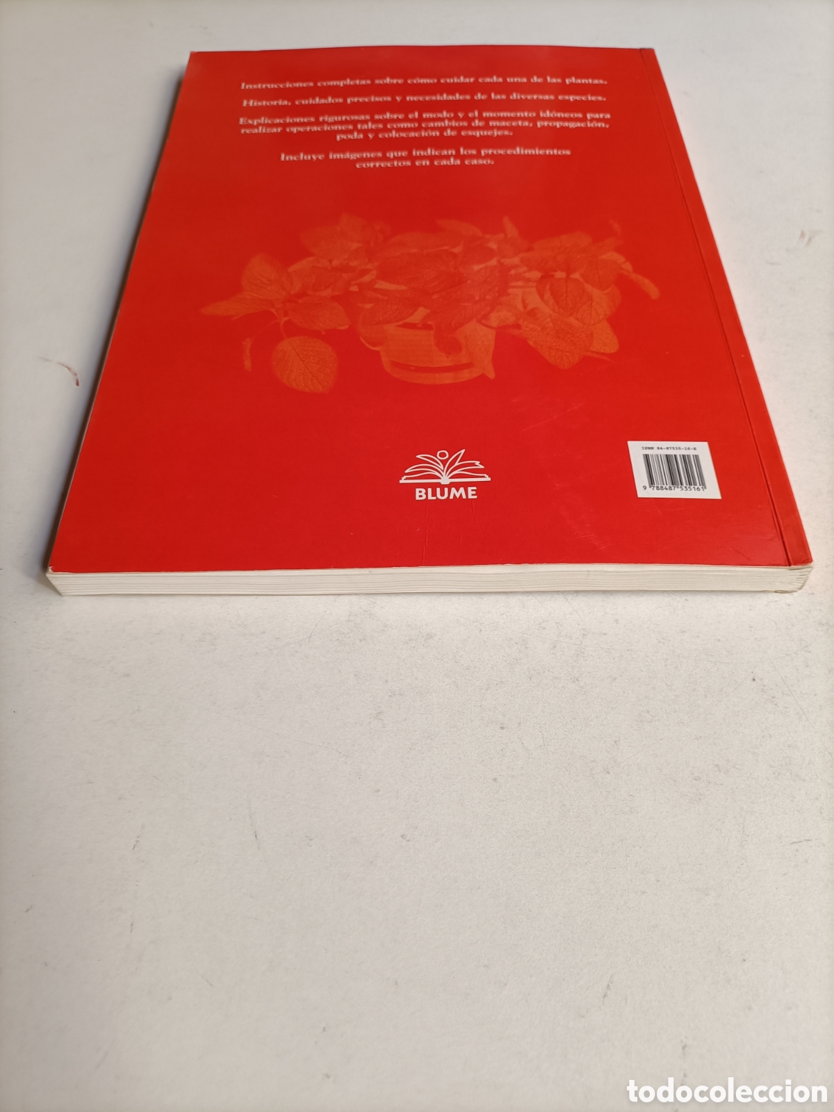 Libros de segunda mano: El cuidado de las plantas de interior David Longman - Foto 5
