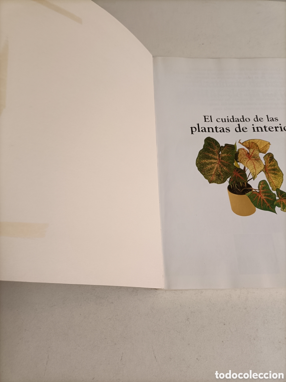 Libros de segunda mano: El cuidado de las plantas de interior David Longman - Foto 6