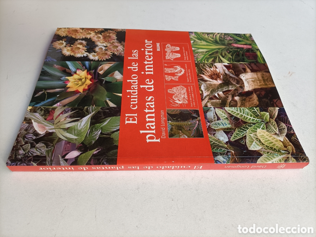 Libros de segunda mano: El cuidado de las plantas de interior David Longman - Foto 1