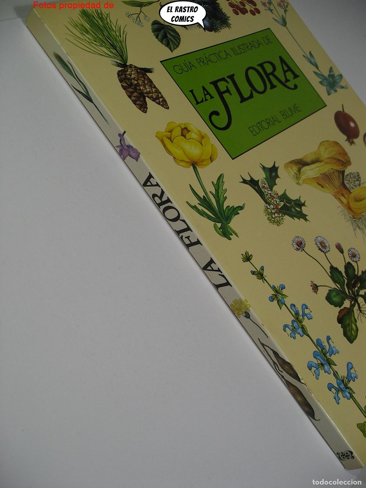 Libros de segunda mano: Gu&iacute;a pr&aacute;ctica ilustrada de la flora, Blume ediciones 1984, A3 - Foto 2