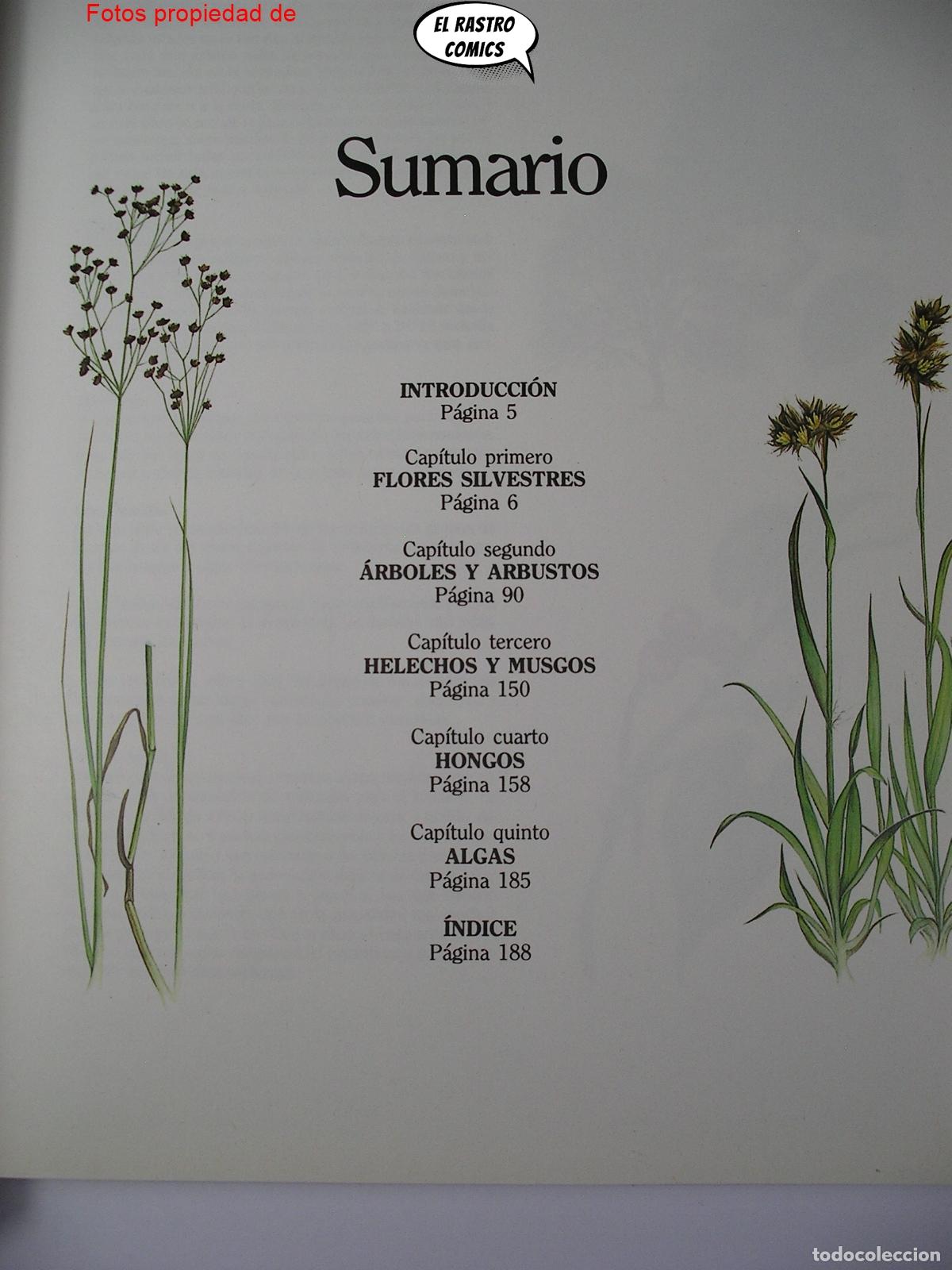 Libros de segunda mano: Gu&iacute;a pr&aacute;ctica ilustrada de la flora, Blume ediciones 1984, A3 - Foto 4