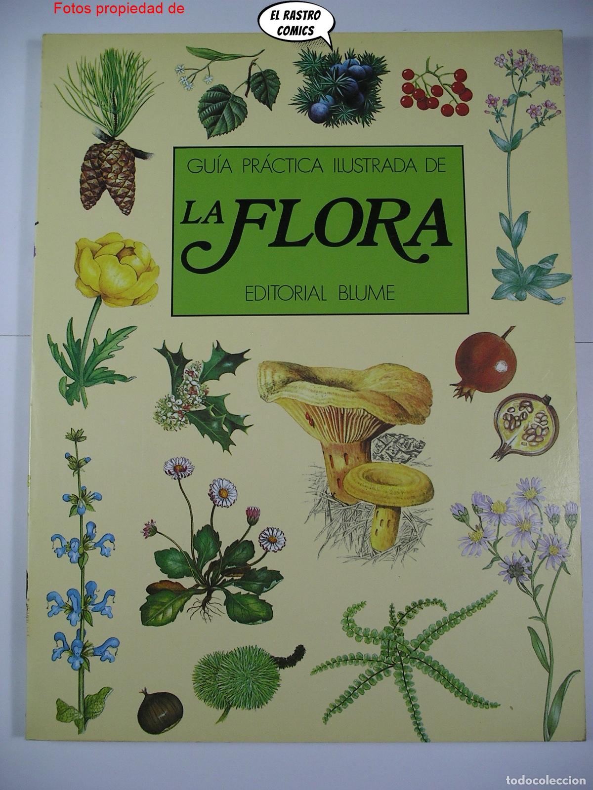 Libros de segunda mano: Gu&iacute;a pr&aacute;ctica ilustrada de la flora, Blume ediciones 1984, A3 - Foto 1