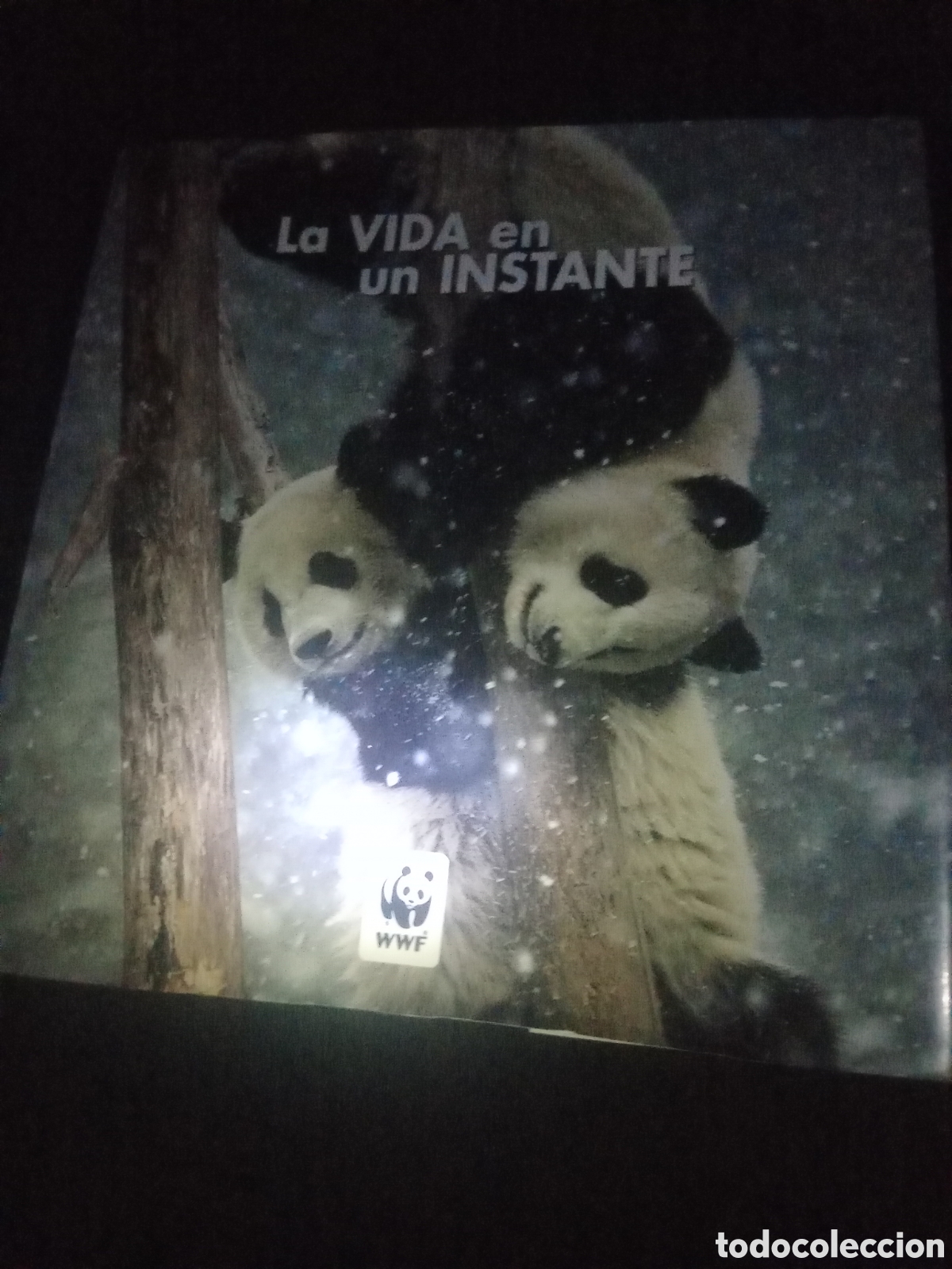 Libros de segunda mano: Toreteblanco la vida en un instante wwf - Foto 1