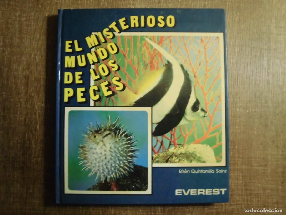 Libros de segunda mano: EL MISTERIOSO MUNDO DE LOS PECES EVEREST 1981 - Foto 1