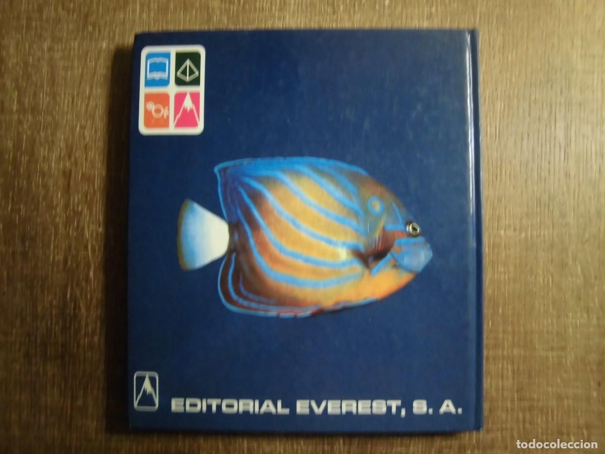Libros de segunda mano: EL MISTERIOSO MUNDO DE LOS PECES EVEREST 1981 - Foto 2