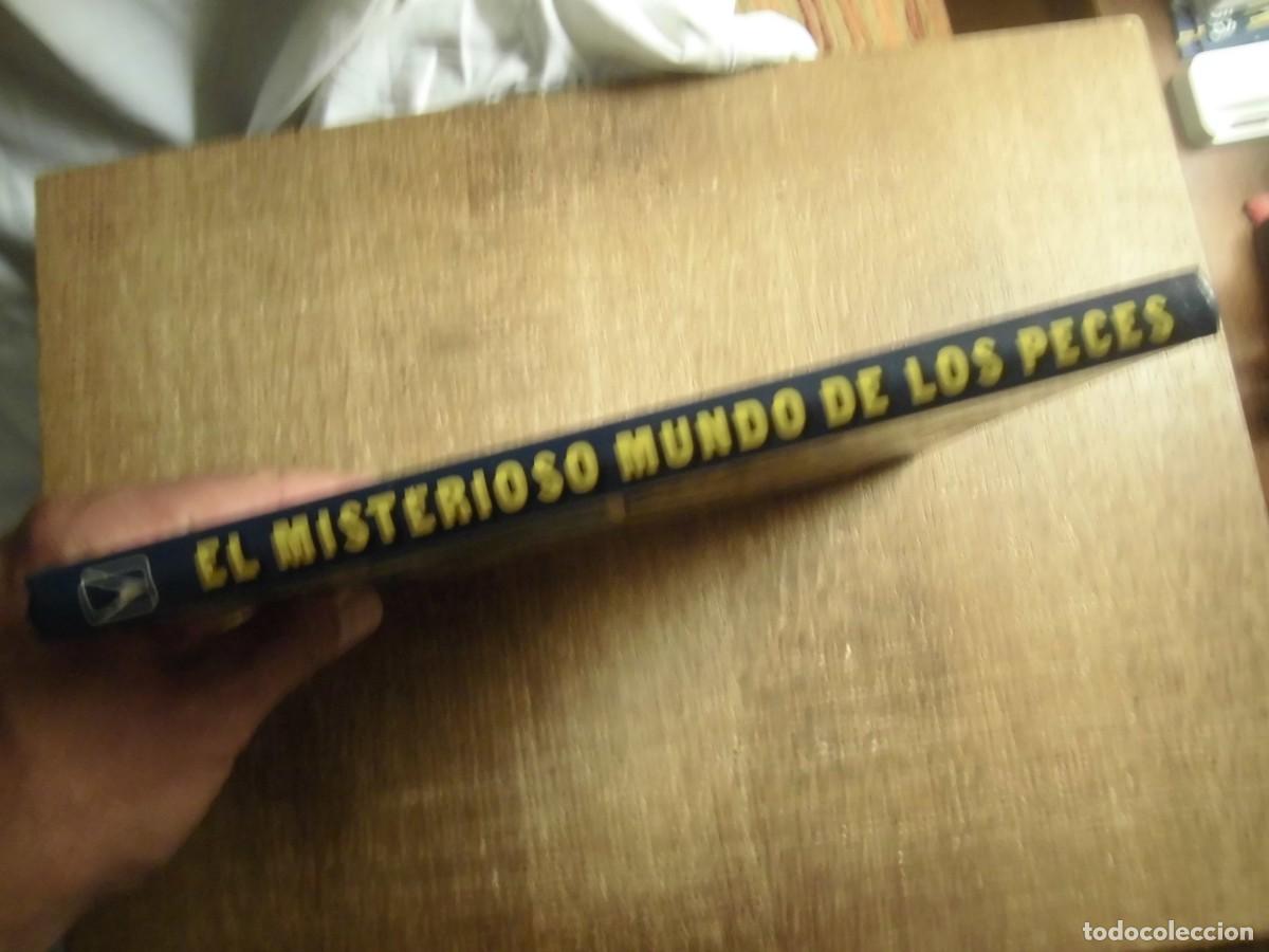 Libros de segunda mano: EL MISTERIOSO MUNDO DE LOS PECES EVEREST 1981 - Foto 3