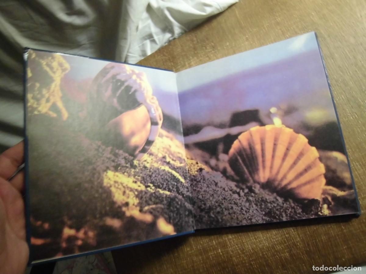 Libros de segunda mano: EL MISTERIOSO MUNDO DE LOS PECES EVEREST 1981 - Foto 4