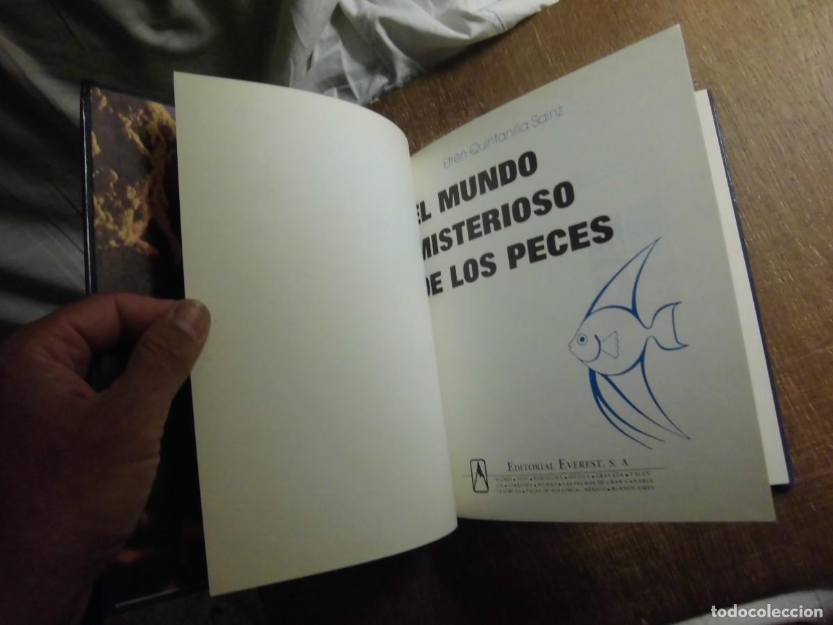 Libros de segunda mano: EL MISTERIOSO MUNDO DE LOS PECES EVEREST 1981 - Foto 5